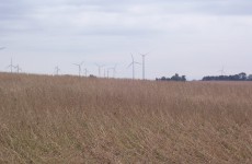 Wind Farm 2008